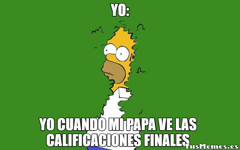 Meme Homer Simpson escondiéndose - Yo cuando mi papa ve las calificaciones finales - Yo: