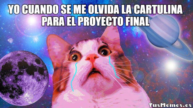 Meme Gato mirando la galaxia - Yo cuando se me olvida la cartulina para el proyecto final