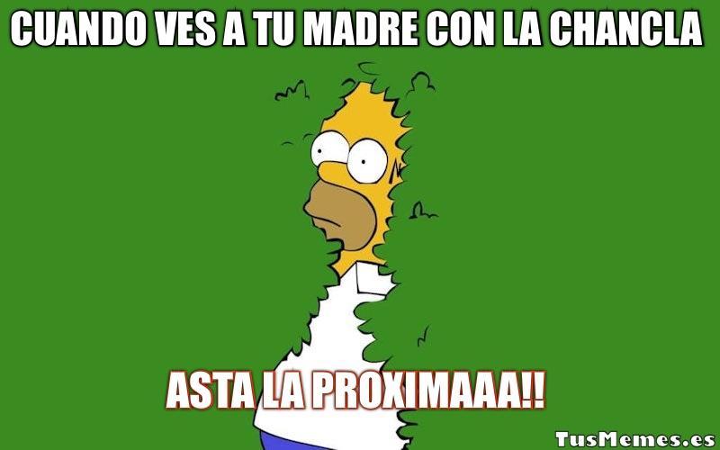 Meme Homer Simpson escondiéndose - Cuando ves a tu madre con la chancla - Asta la proximaaa!!