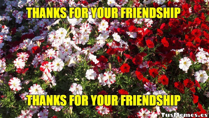 Meme THANKS FOR YOUR FRIENDSHIP - THANKS FOR YOUR FRIENDSHIP