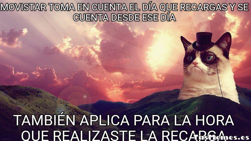 Meme Gato con monóculo - Movistar toma en cuenta el día que recargas y se cuenta desde ese día - También aplica para la hora que realizaste la recarga