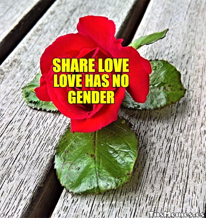 Meme SHARE LOVE - LOVE HAS NO GENDER